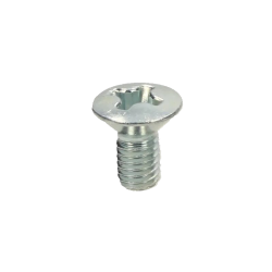 Schraube Türscharnier VW T1, Edelstahl, 211831701B, N10084701